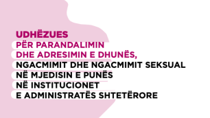 Guidelines for Preventing and Addressing Violence, Harassment and Sexual Harassment in the Work Environment in State Administration Institutions