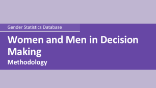 Women and Men in Decision Making: Methodological report